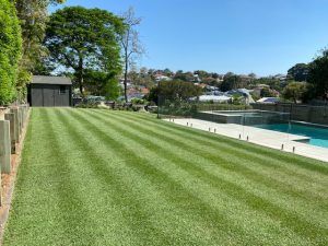 Green Landscape - Brisbane Best Lawn