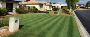 Beautiful perfect emerald and seaweed green lawn | featured image for Winners.